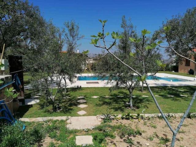Mediterranean Garden Villa Vathí Exterior foto